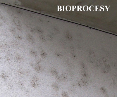 Bioprocesy